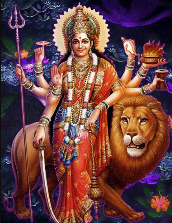 Rio Krishna — Vijayawada